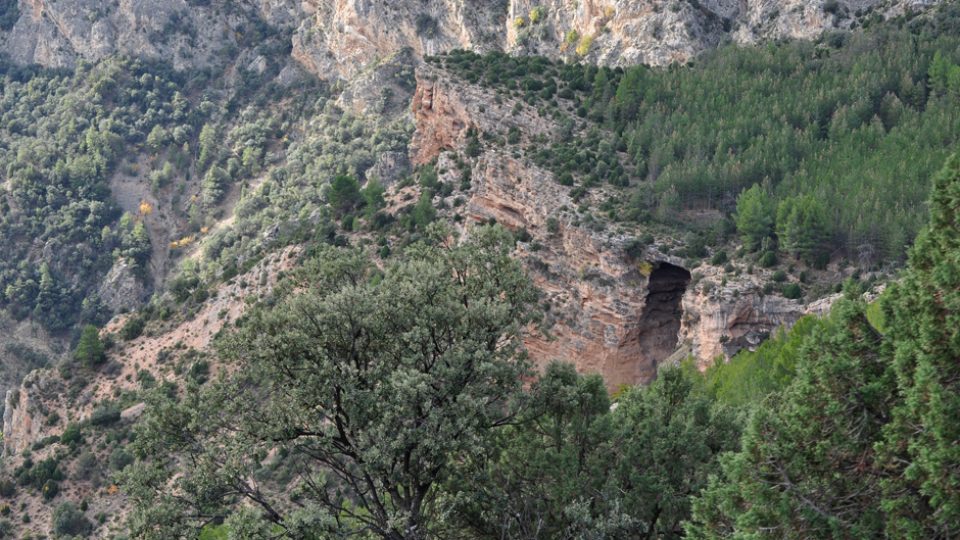 Visita Cueva El Ermitaño/Órganos de Montoro