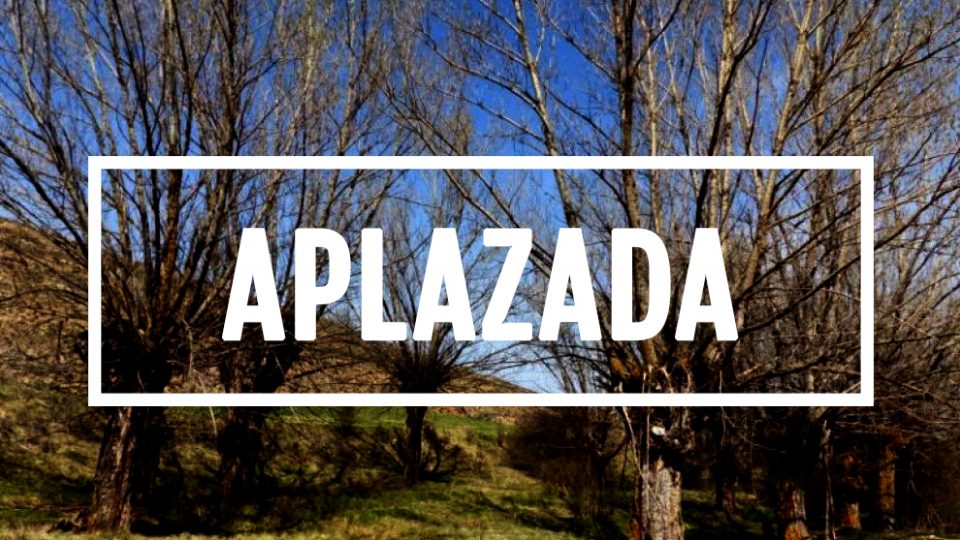 Aplazada la XII Fiesta del Chopo Cabecero
